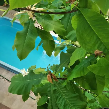 Hotel Velyka Vedmedytsya Yaremche