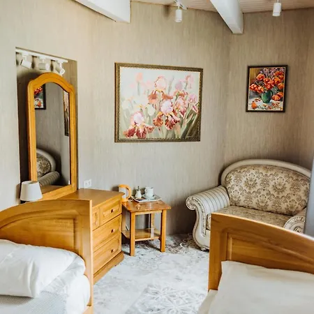 ホテル Hotel Velyka Vedmedytsya 2*