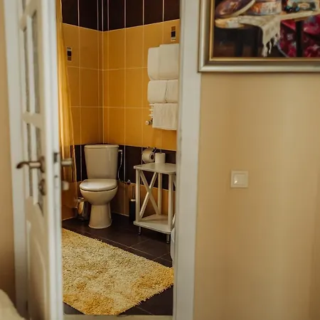 Hotel Velyka Vedmedytsya ホテル 2*