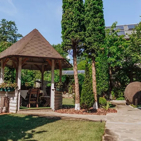 ホテル Hotel Velyka Vedmedytsya