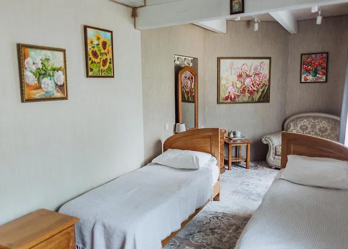 Otel Hotel Velyka Vedmedytsya 2*