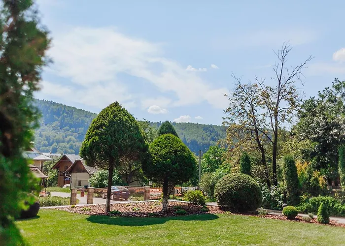 Hotel Velyka Vedmedytsya 2*