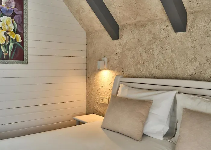 Otel Hotel Velyka Vedmedytsya 2*