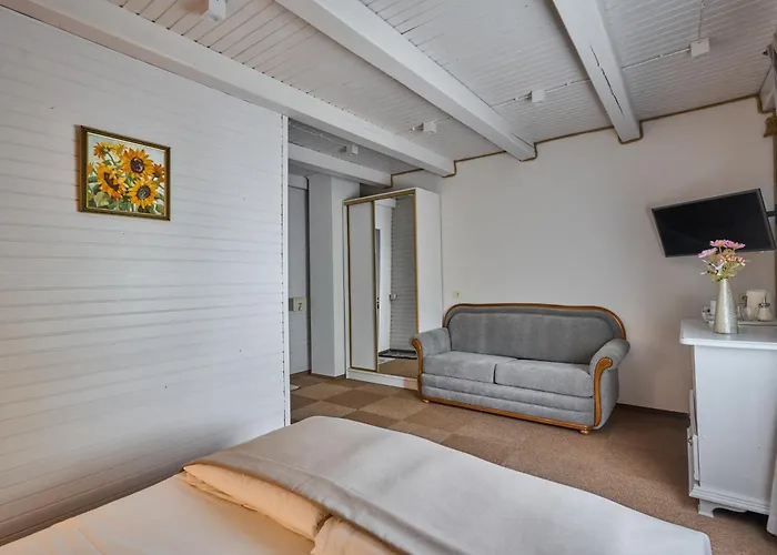 Otel Hotel Velyka Vedmedytsya 2*
