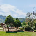 Velyka Vedmedytsya 2*