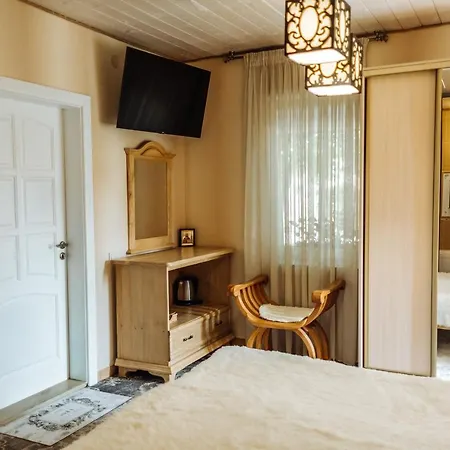 Velyka Vedmedytsya Hotel 2*